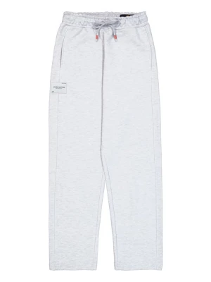 Spodnie treningowe Alpha Industries szary