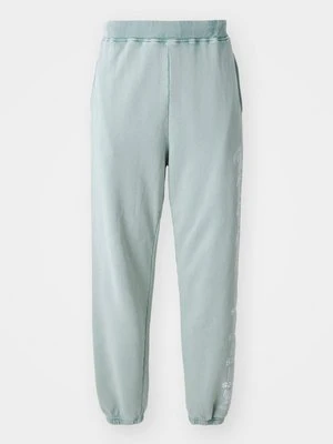 Spodnie treningowe Aries