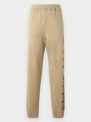 Spodnie treningowe Aries