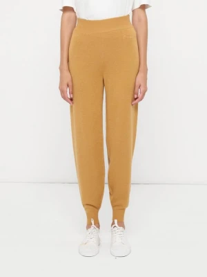 Spodnie treningowe Armani Exchange brązowy