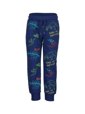 Spodnie treningowe BLUE SEVEN