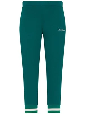 Spodnie treningowe Calvin Klein Performance