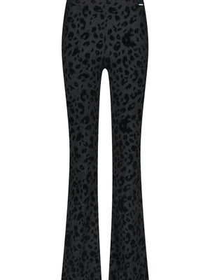 Spodnie treningowe Colourful Rebel