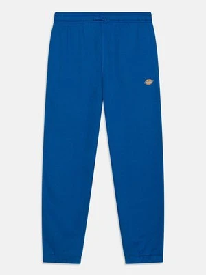 Spodnie treningowe Dickies