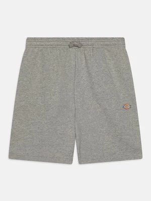 Spodnie treningowe Dickies