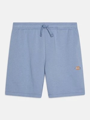 Spodnie treningowe Dickies