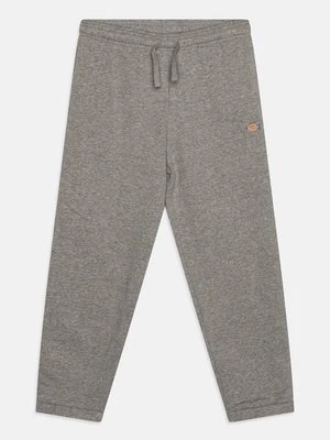 Spodnie treningowe Dickies