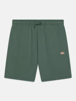 Spodnie treningowe Dickies