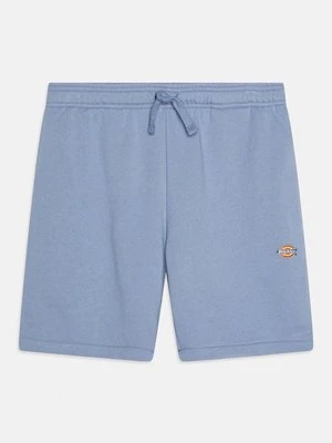 Spodnie treningowe Dickies