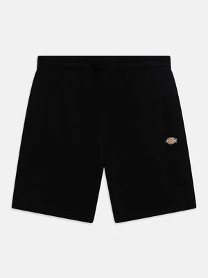 Spodnie treningowe Dickies
