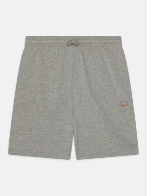 Spodnie treningowe Dickies jasnoszary