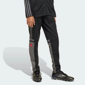 Spodnie treningowe dla dzieci Squadra 25 Adidas