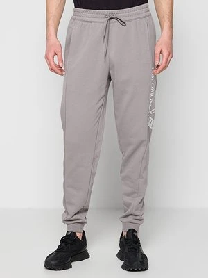 Spodnie treningowe EA7 Emporio Armani szary