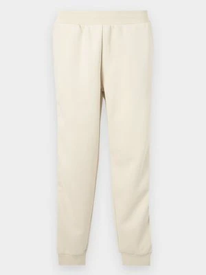 Spodnie treningowe EA7 Emporio Armani biały