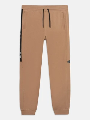 Spodnie treningowe EA7 Emporio Armani jasnobrązowy