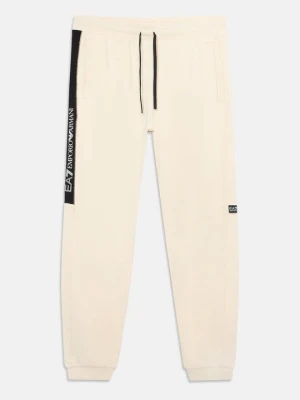 Spodnie treningowe EA7 Emporio Armani jasnoszary