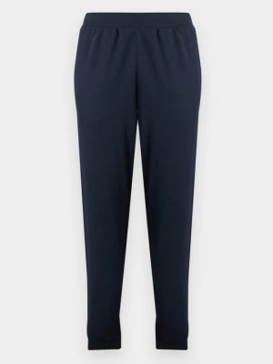 Spodnie treningowe EA7 Emporio Armani niebieski