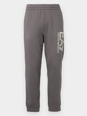 Spodnie treningowe EA7 Emporio Armani szary