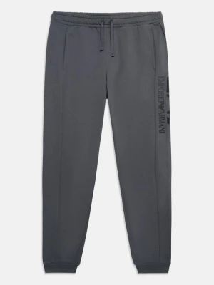 Spodnie treningowe EA7 Emporio Armani szary