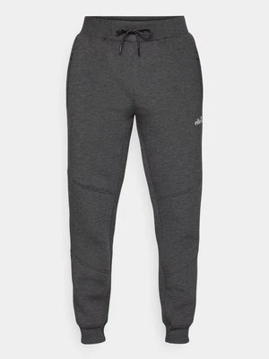 Spodnie treningowe Ellesse