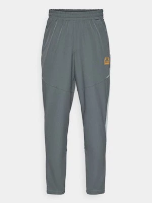 Spodnie treningowe Ellesse