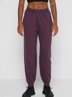 Spodnie treningowe Ellesse