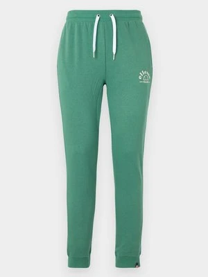 Spodnie treningowe Ellesse