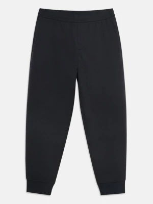 Spodnie treningowe Emporio Armani niebieski