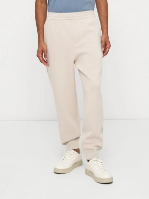 Spodnie treningowe Emporio Armani srebrny