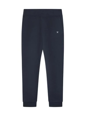 Spodnie treningowe Hackett London