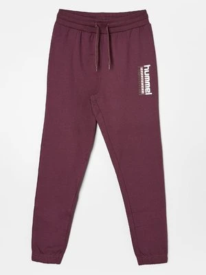 Spodnie treningowe Hummel