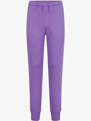 Spodnie treningowe Jordan