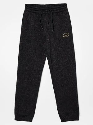 Spodnie treningowe Jordan