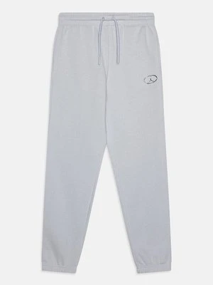 Spodnie treningowe Jordan