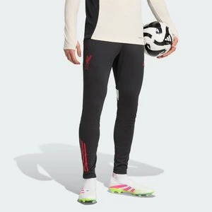 Spodnie treningowe Liverpool FC Tiro 25 Competition Adidas