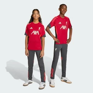 Spodnie treningowe Liverpool FC Tiro 25 Competition Adidas