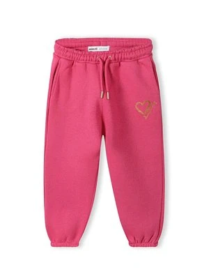 Spodnie treningowe MINOTI