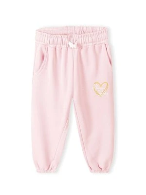 Spodnie treningowe MINOTI