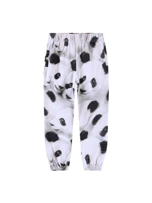 Spodnie treningowe Molo