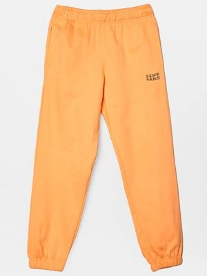 Spodnie treningowe Molo