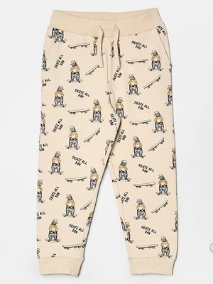 Spodnie treningowe name it