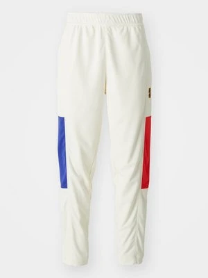 Spodnie treningowe Nike Performance