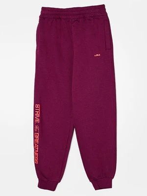 Spodnie treningowe Nike Performance