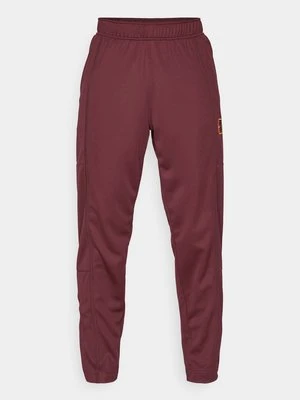 Spodnie treningowe Nike Performance