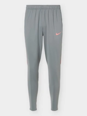 Spodnie treningowe Nike szary