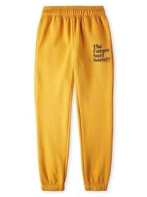 Spodnie treningowe O'Neill