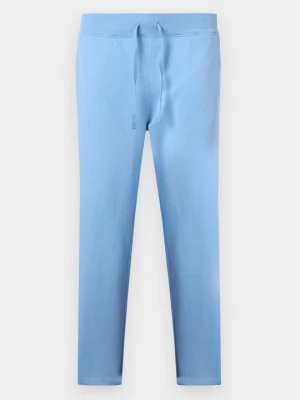 Spodnie treningowe Polo Ralph Lauren jasnoniebieski