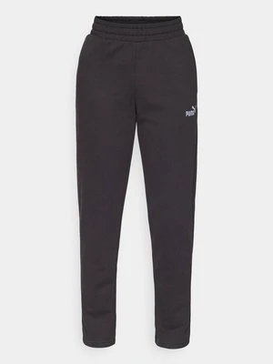 Spodnie treningowe Puma