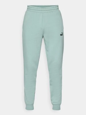 Spodnie treningowe Puma