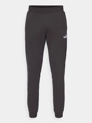 Spodnie treningowe Puma